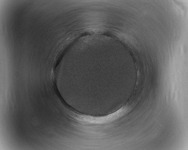 X0000089740048200707051805