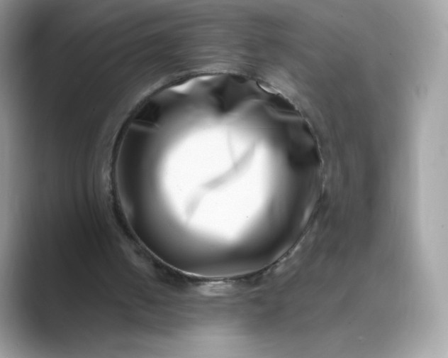 X0000089740050200707051804