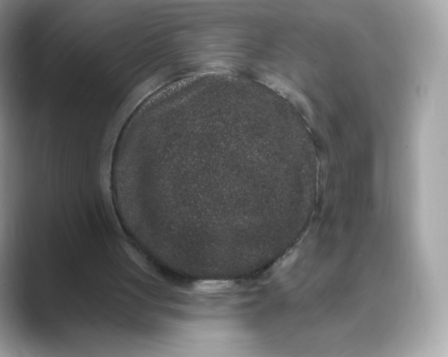 X0000089740051200707051804