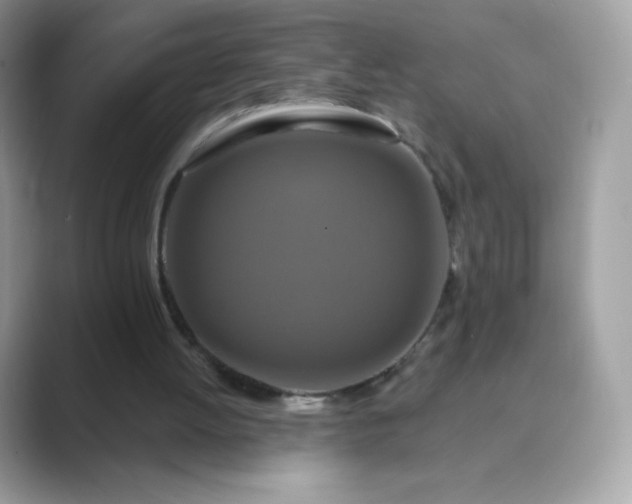 X0000089740052200707051804