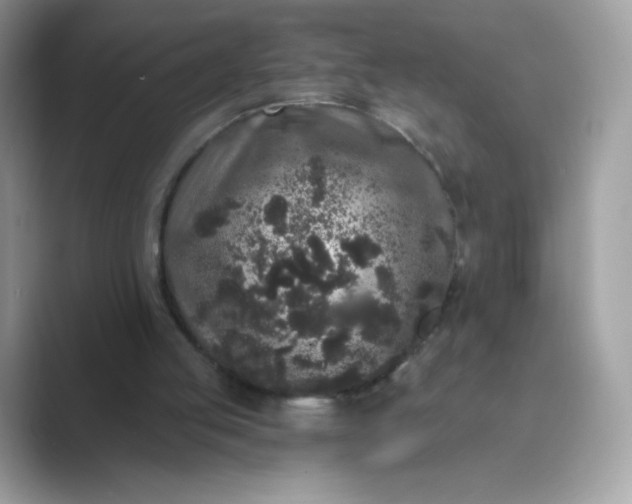 X0000089740053200707051804