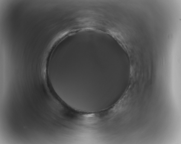 X0000089740054200707051804