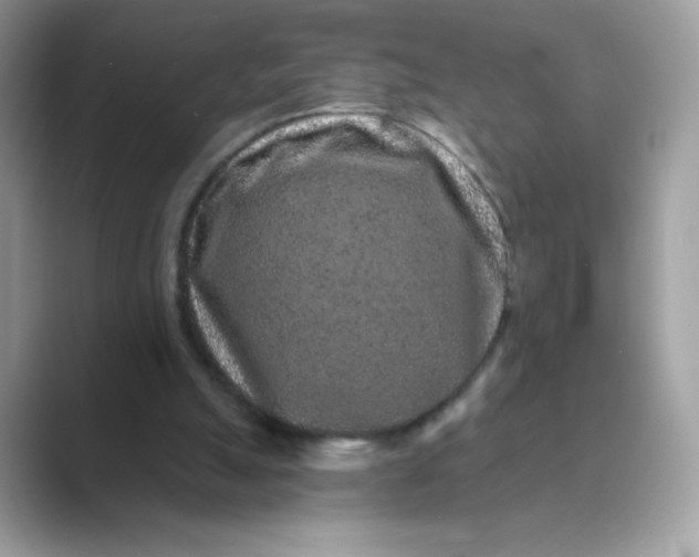 X0000089740055200707051804