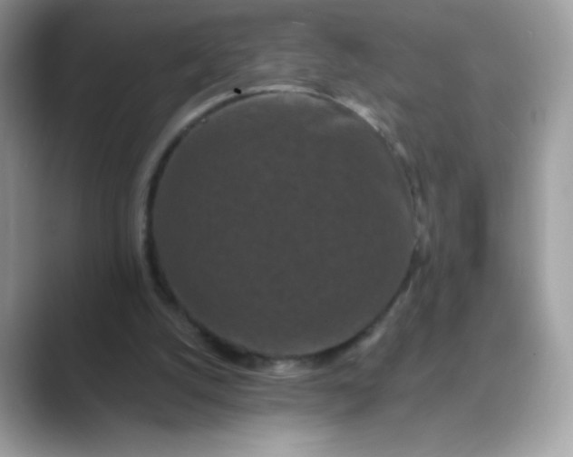 X0000089740056200707051804