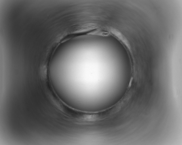 X0000089740057200707051804