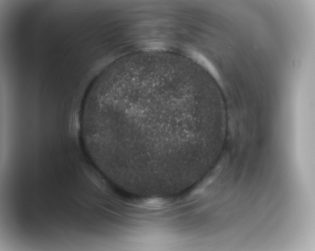 X0000089740059200707051804