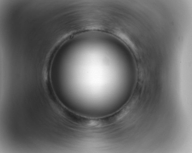 X0000089740060200707051804