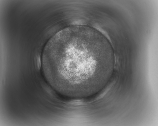 X0000089740061200707051804