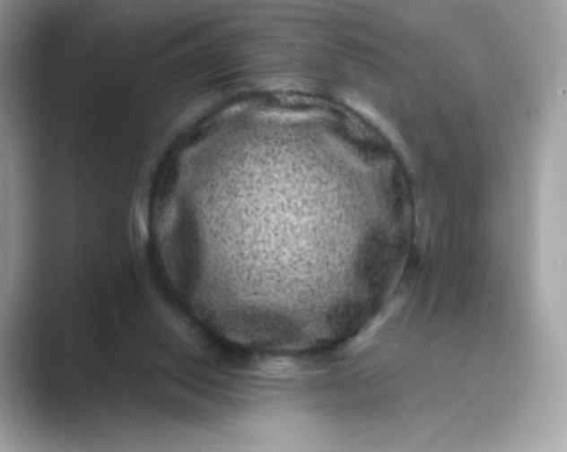 X0000089740062200707051804