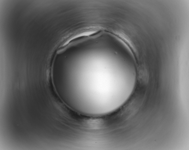 X0000089740063200707051804