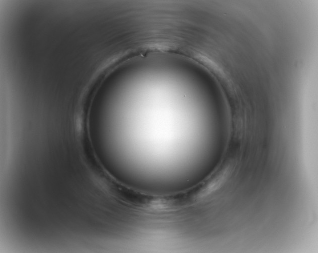 X0000089740064200707051804