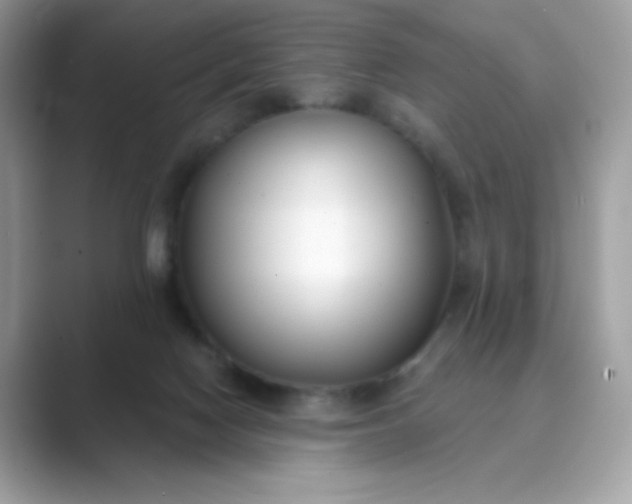 X0000089740074200707051804