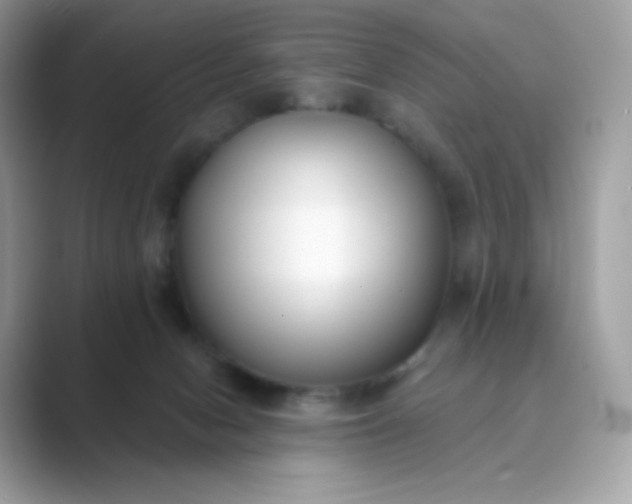 X0000089740078200707051804