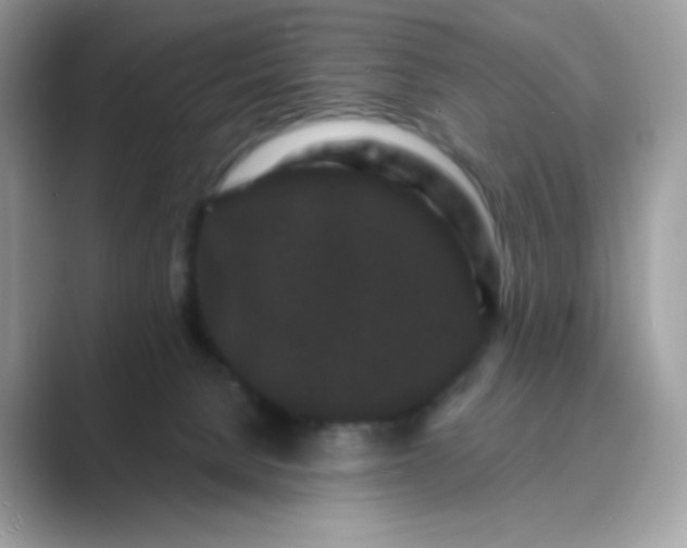 X0000089740080200707051804