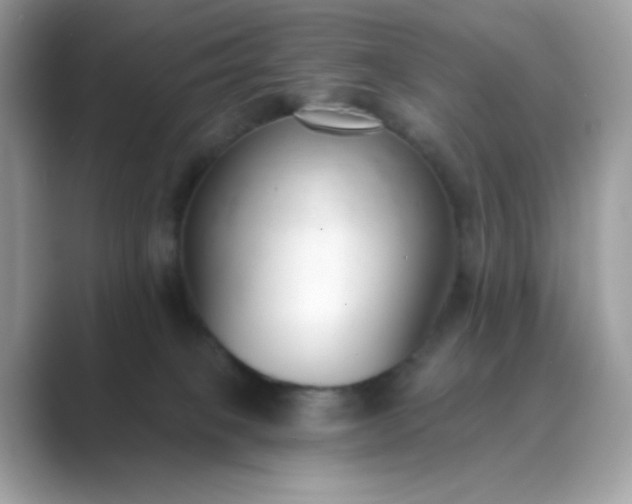 X0000089740085200707051805