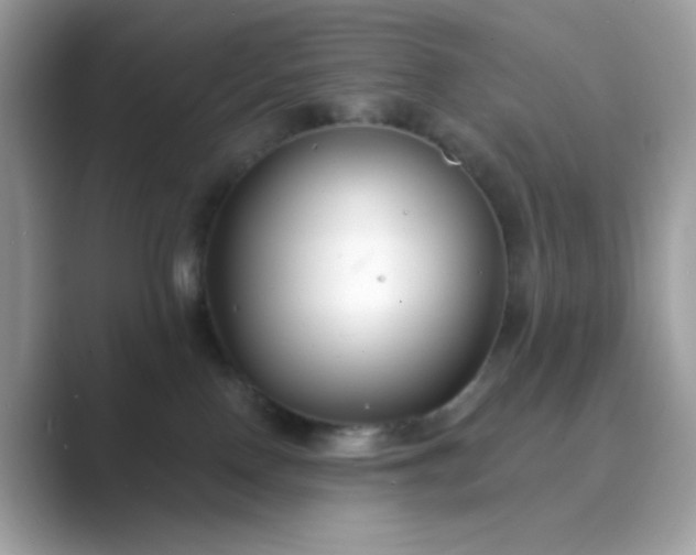 X0000089740090200707051805