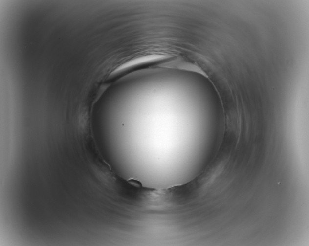 X0000089740092200707051805