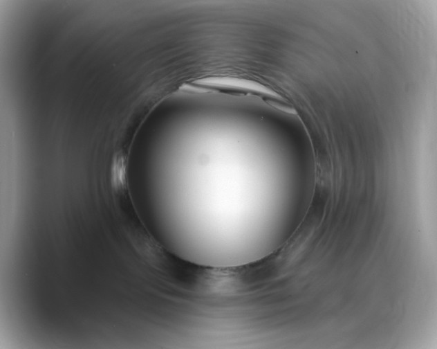 X0000089740095200707051805