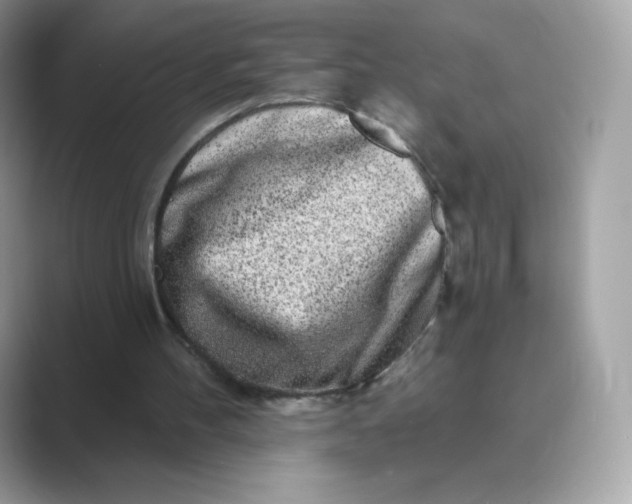 X0000089740100200707051804