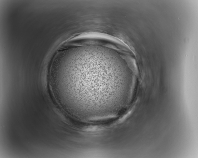 X0000089740101200707051804