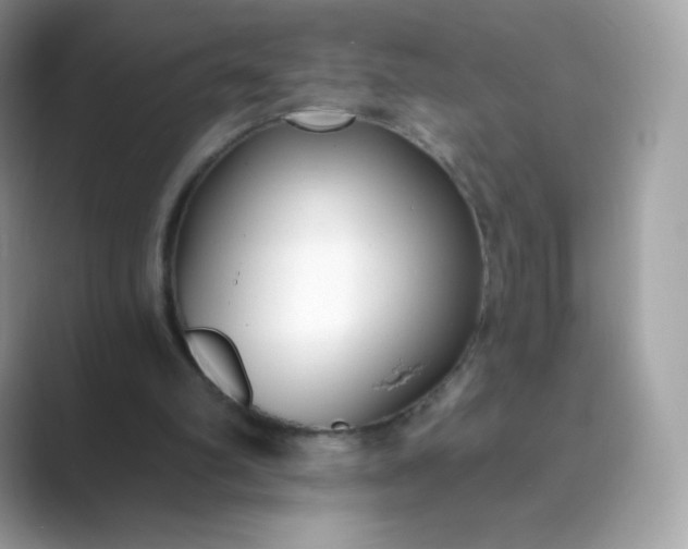 X0000089740102200707051804