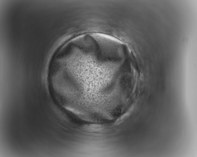 X0000089740104200707051804