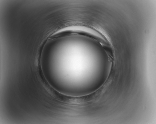 X0000089740105200707051804