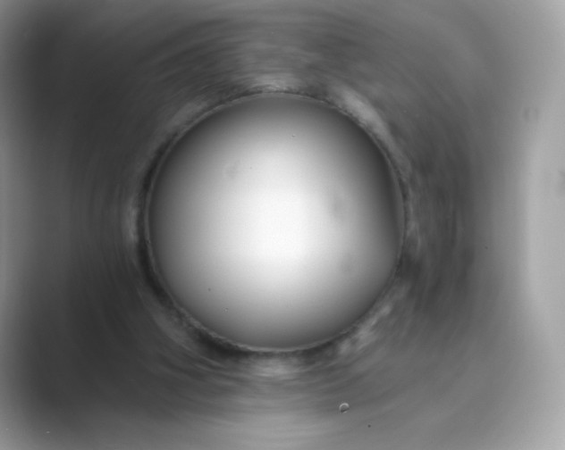 X0000089740106200707051804