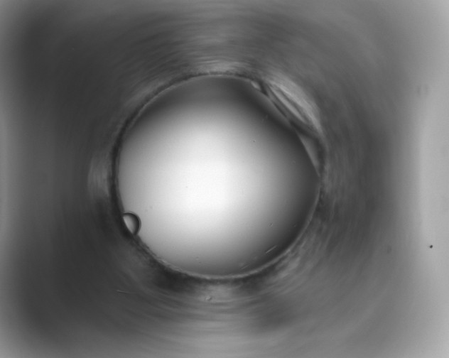 X0000089740107200707051804