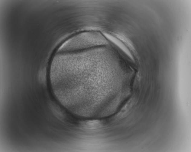 X0000089740108200707051804