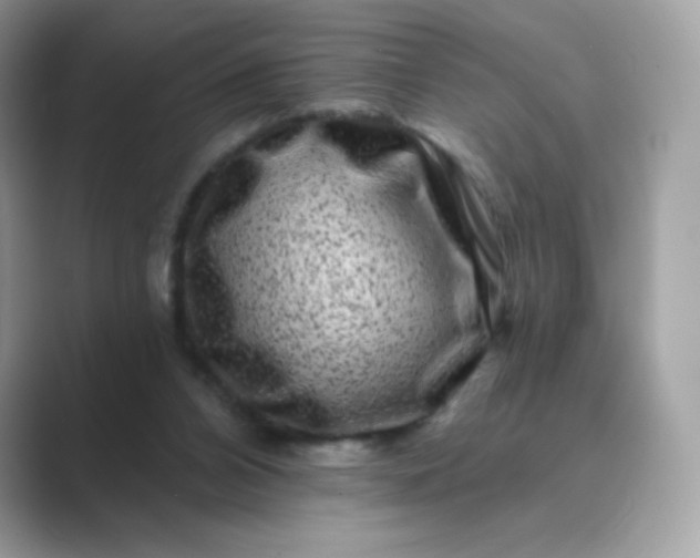 X0000089740112200707051804