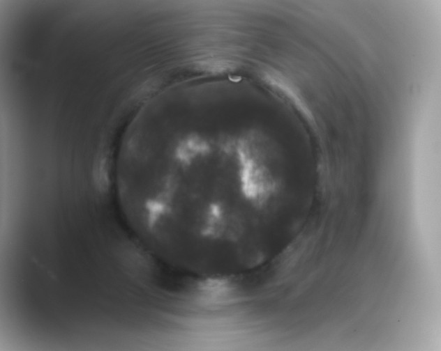 X0000089740114200707051804