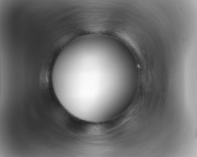 X0000089740115200707051804