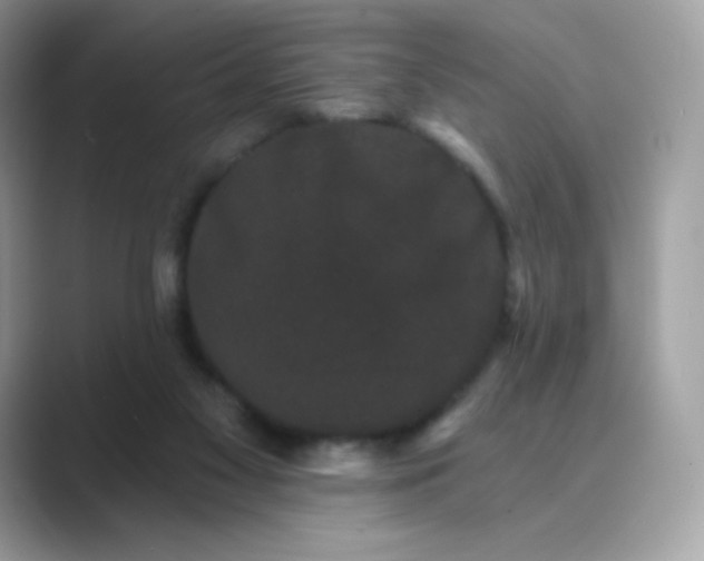 X0000089740117200707051804