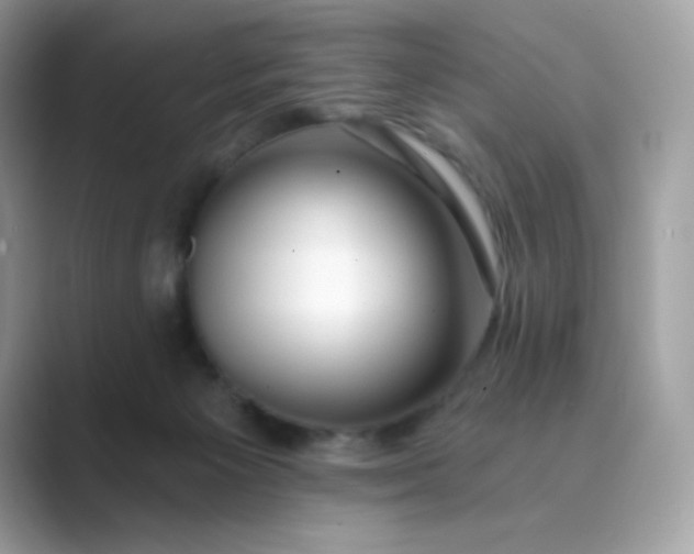 X0000089740125200707051804