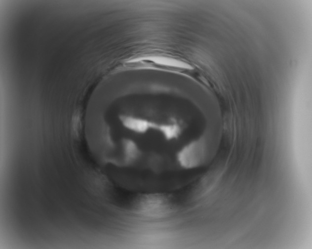 X0000089740127200707051804