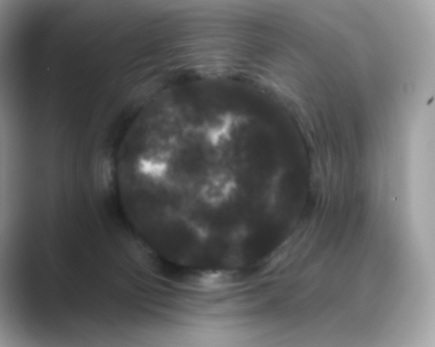 X0000089740130200707051804