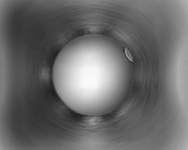 X0000089740135200707051804