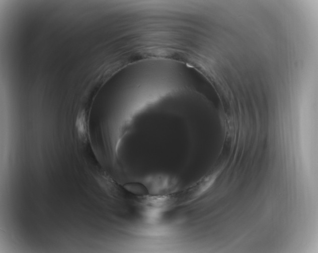 X0000089740143200707051804