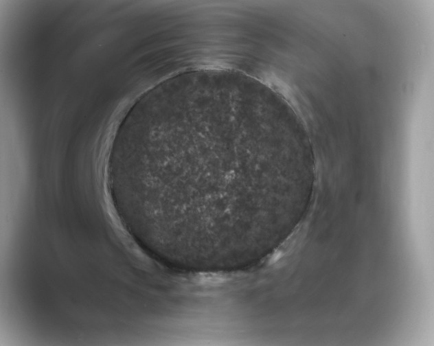 X0000089740145200707051803