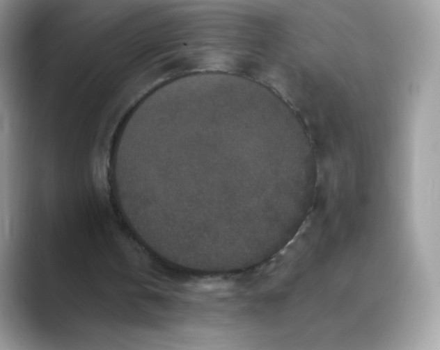 X0000089740146200707051803