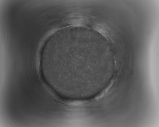 X0000089740149200707051803