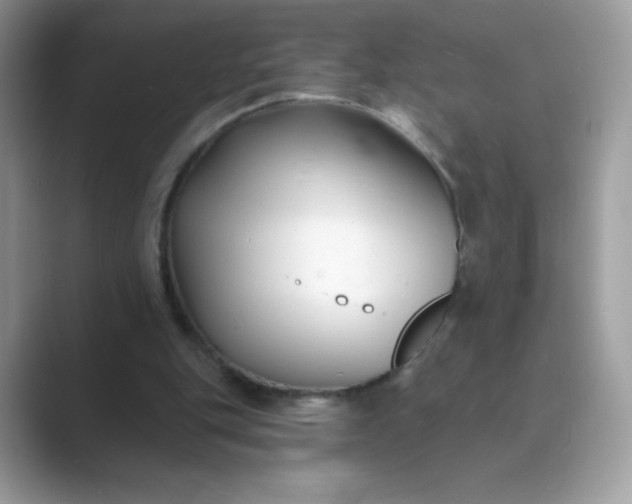 X0000089740151200707051803