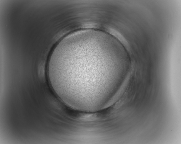 X0000089740155200707051803