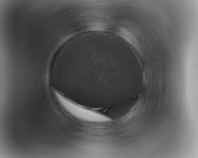 X0000089740156200707051803