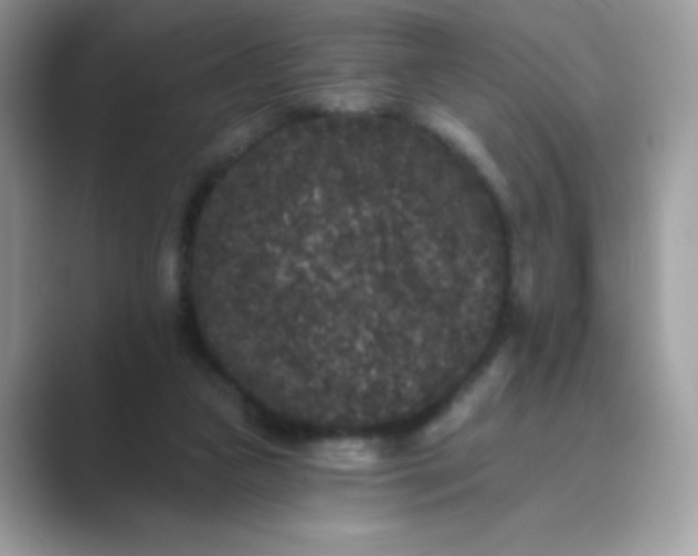 X0000089740161200707051803