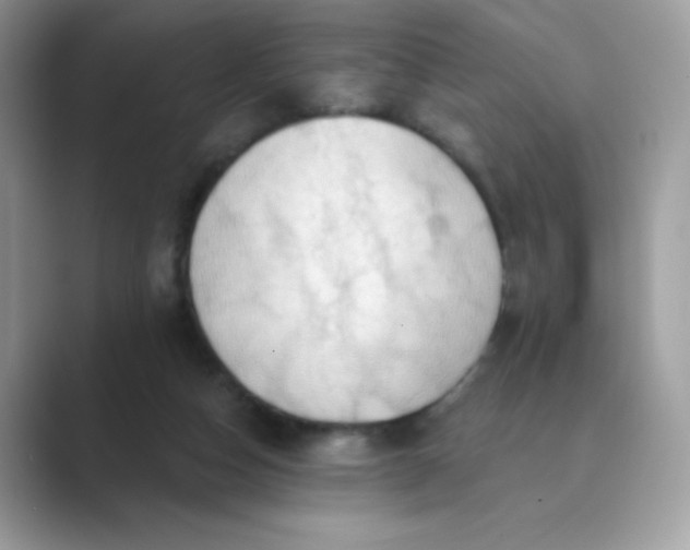 X0000089740162200707051803