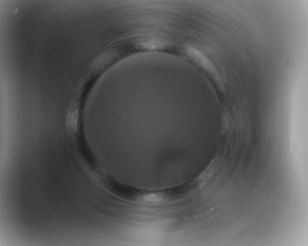 X0000089740163200707051803