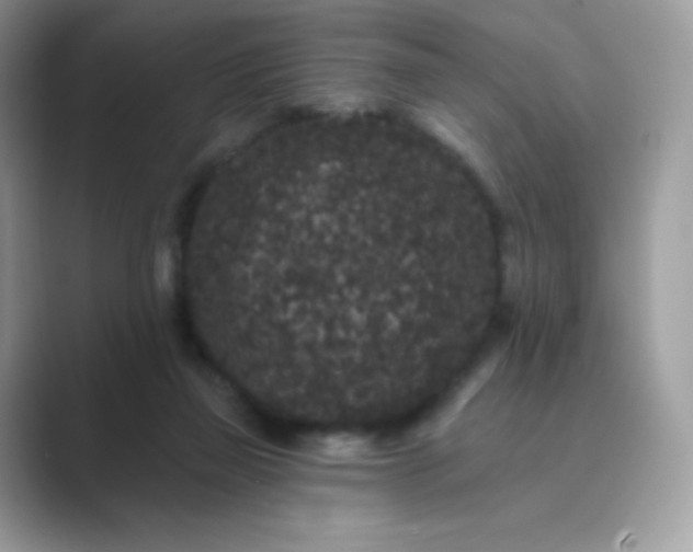 X0000089740165200707051803