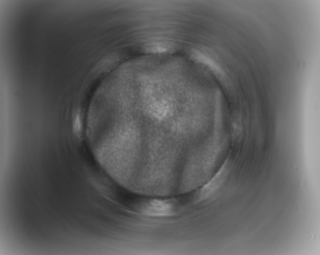 X0000089740166200707051803